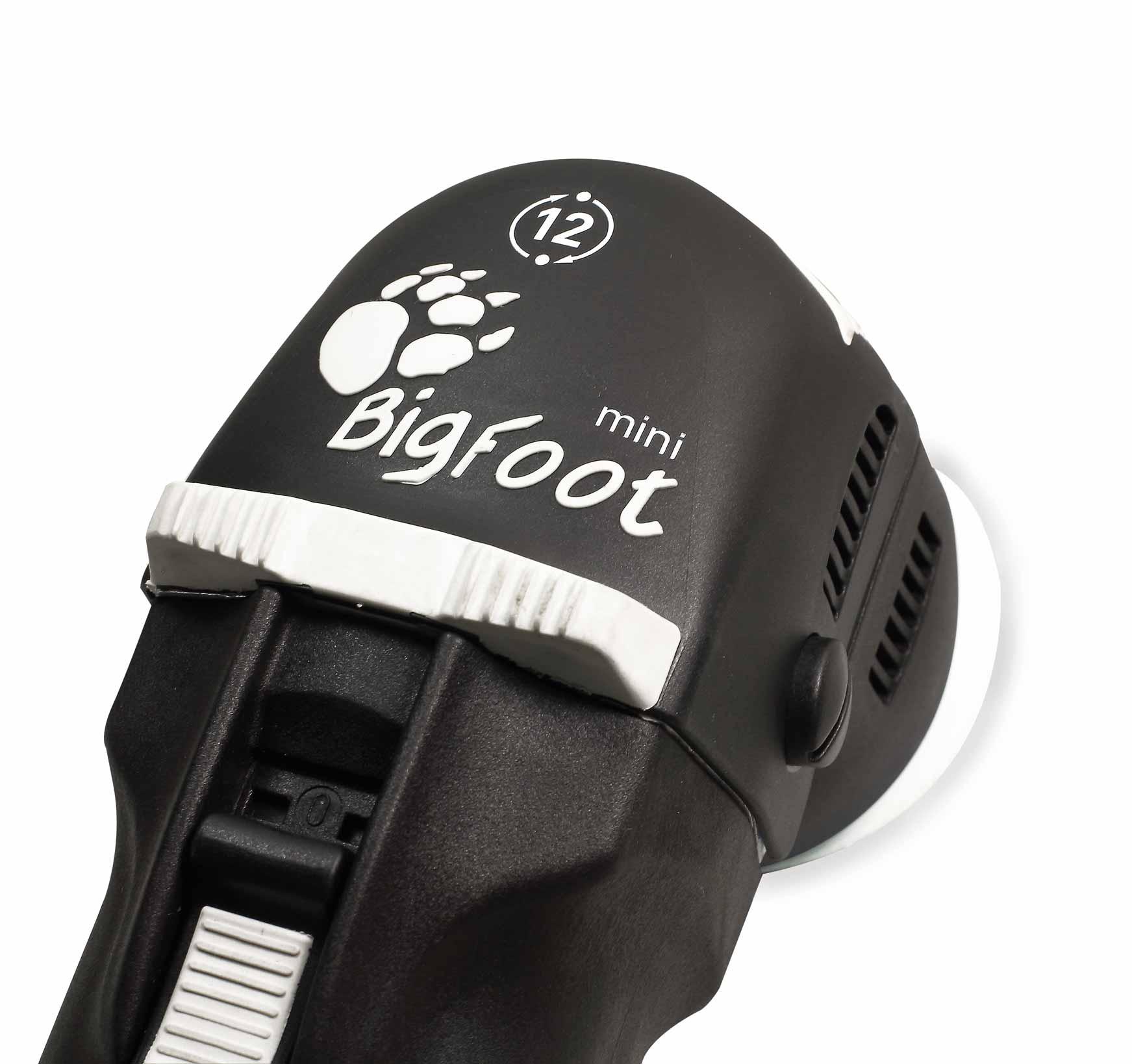 RUPES BigFoot LHR75E Mini polisseuse orbitale aléatoire